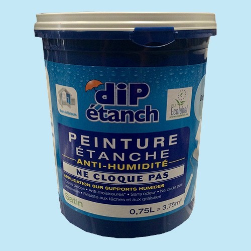 DIP Peinture étanche Anti-humidité Dragée