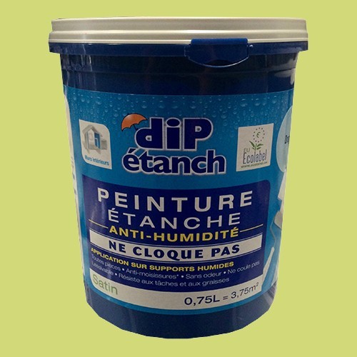 DIP Peinture étanche Anti-humidité Amande