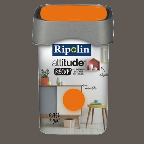 RIPOLIN Peinture Attitude Récup' Truffe satin 0,75L