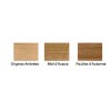 PLASTOR Wood'Pigma 1L Origines ambrées WP-D21