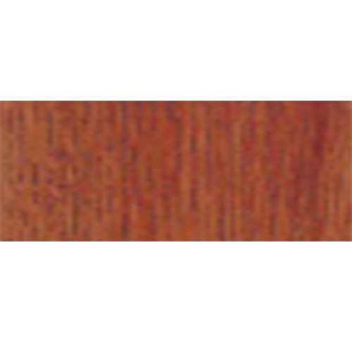 PLASTOR Wood'Pigma 1L Rouge Wadi Rum WP-R32