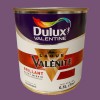 DULUX VALENTINE Laque Valénite Brillant Prune