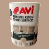 AVI Peinture Renov' Toutes Surfaces Lin Satin