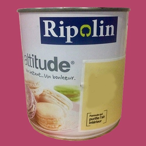 RIPOLIN Peinture Attitude "Pause sucrée" Brillant Rose praliné