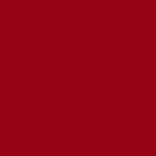 RIPOLIN Protection Extrême Fer Rouge vif RAL 3031