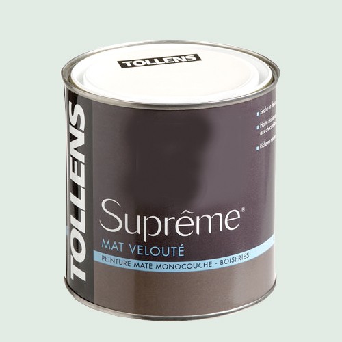 Tollens Peinture Suprême Eau De Roche Mat Velouté 05l Pas Cher En Ligne