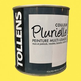 TOLLENS Peinture acrylique multi-usages "Couleur Plurielle" satin Chaleureuse TOLLENS Peinture acrylique multi-usages "Couleur Plurielle" satin Chaleureuse