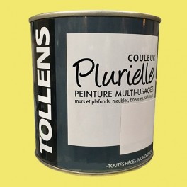 TOLLENS Peinture acrylique multi-usages "Couleur Plurielle" satin Enjouée TOLLENS Peinture acrylique multi-usages "Couleur Plurielle" satin Enjouée
