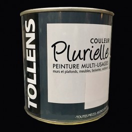 TOLLENS Peinture acrylique multi-usages "Couleur Plurielle" satin Noir TOLLENS Peinture acrylique multi-usages "Couleur Plurielle" satin Noir