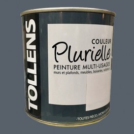 TOLLENS Peinture acrylique multi-usages "Couleur Plurielle" mat Tempétueuse TOLLENS Peinture acrylique multi-usages "Couleur Plurielle" mat Tempétueuse