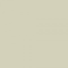 Peinture Murs, Boiseries & Radiateurs RIPOLIN Vert laurier Mat