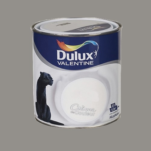 DULUX VALENTINE Peinture acrylique Crème de couleur Gris building