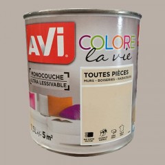 AVI Colore la Vie Peinture Toutes pièces Sisal