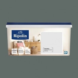 RIPOLIN Peinture Acrylique "Esprit Déco" Murs, Boiseries & Radiateurs Métal scintillant RIPOLIN Peinture Acrylique "Esprit Déco" Murs, Boiseries & Radiateurs Métal scintillant