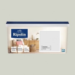 RIPOLIN Peinture Acrylique "Esprit Déco" Murs, Boiseries & Radiateurs Argent scintillant RIPOLIN Peinture Acrylique "Esprit Déco" Murs, Boiseries & Radiateurs Argent scintillant