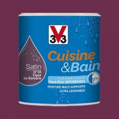 Peinture Cuisine & Bain V33 Figue de barbarie n°36 - 0,5L
