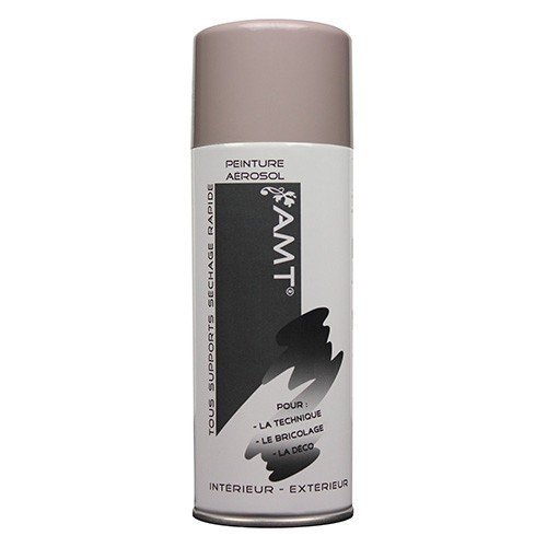 AMT Aérosol Couleur Taupe (BPA25) AMT - 1