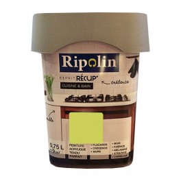 RIPOLIN Peinture Esprit Récup' Cuisine & Bain Vert anis RIPOLIN Peinture Esprit Récup' Cuisine & Bain Vert anis