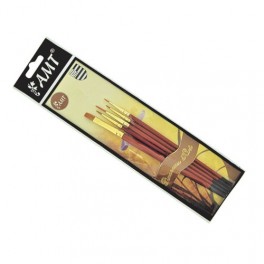 AMT Pochette de 5 pinceaux d'art (PDPA) AMT Pochette de 5 pinceaux d'art (PDPA)