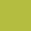 V33 Vernis Relooking Vert Disco Satin Velours
