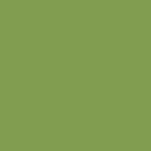Peintures Multi Colors BÂTIR Satin Soyeux Vert Amazonie - couleur Peintures Multi Colors BÂTIR Satin Soyeux Vert Amazonie - couleur