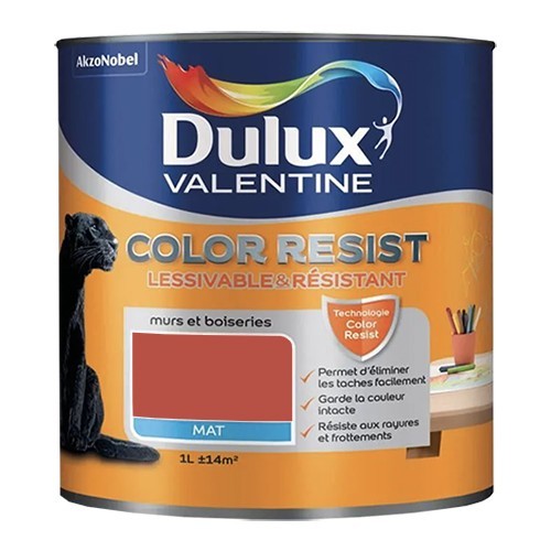 Dulux Valentine Peinture acrylique Color Resist Rouge feu Mat