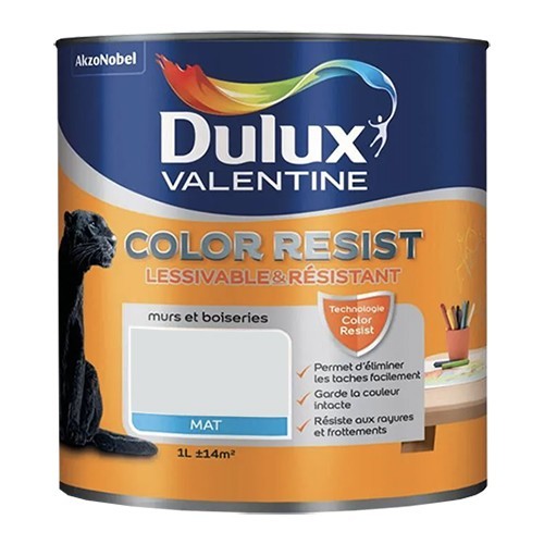 Dulux Valentine Peinture acrylique Color Resist Blanc argent Mat