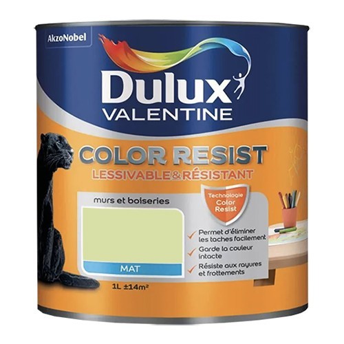 Dulux Valentine Peinture acrylique Color Resist Vert fluorine Mat