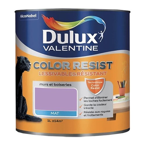 Dulux Valentine Peinture acrylique Color Resist Violet persistant Mat