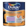 Dulux Valentine Peinture acrylique Color Resist Violet persistant Mat