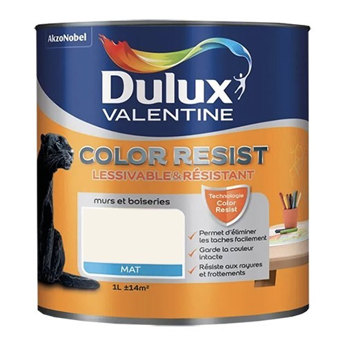 Dulux Valentine Peinture acrylique Color Resist Blanc infini Mat