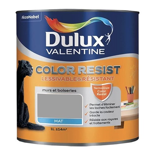 Dulux Valentine Peinture acrylique Color Resist Aluminium Mat