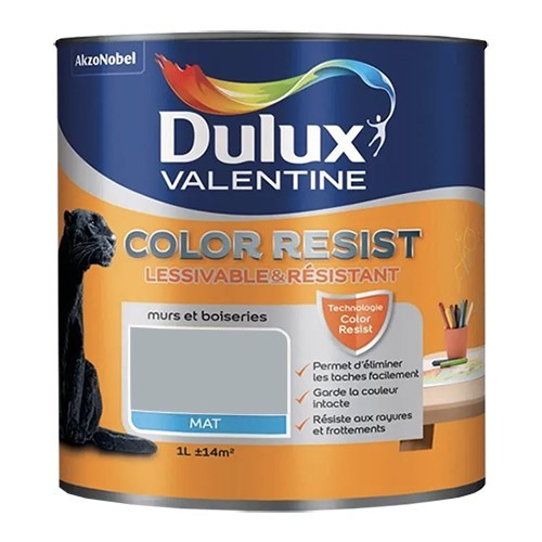 Dulux Valentine Peinture acrylique Color Resist Gris acier Mat