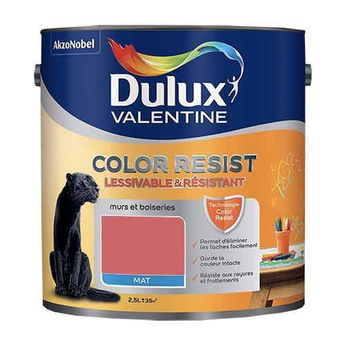 Dulux Valentine Peinture acrylique Color Resist Rouge éternel Mat