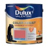Dulux Valentine Peinture acrylique Color Resist Rouge éternel Mat