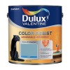Dulux Valentine Peinture acrylique Color Resist Bleu verre Mat