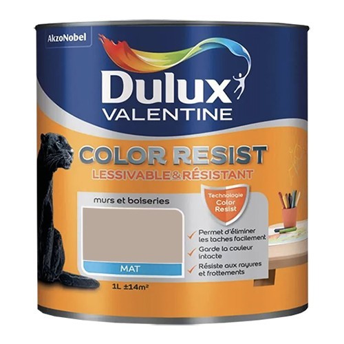 Dulux Valentine Peinture acrylique Color Resist Noyer brut Mat
