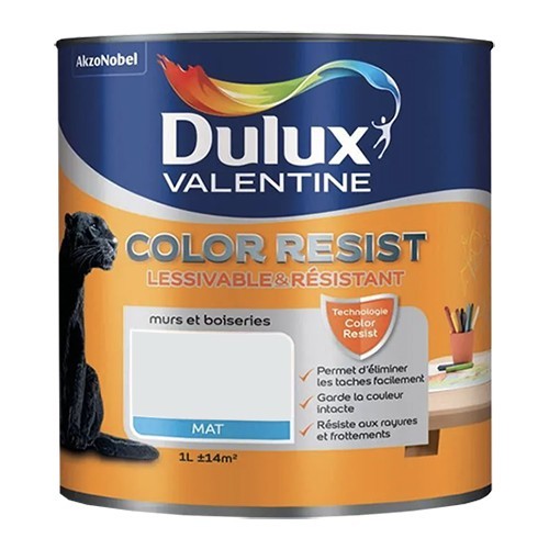 Dulux Valentine Peinture acrylique Color Resist Roc blanc Mat