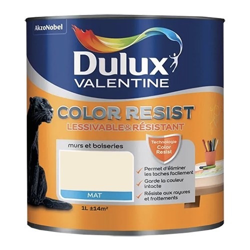 Dulux Valentine Peinture acrylique Color Resist Blanc Platine Mat
