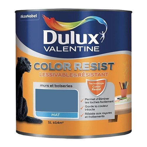 Dulux Valentine Peinture acrylique Color Resist Zinc bleu Mat