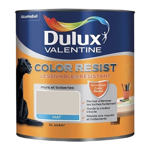 Dulux Valentine Peinture acrylique Color Resist Sable de mer Mat