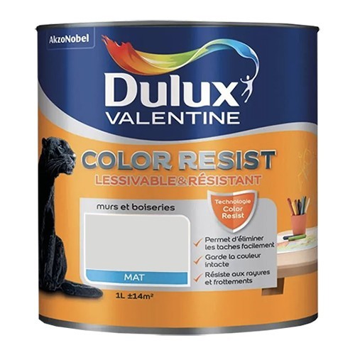 Dulux Valentine Peinture acrylique Color Resist Nacre Mat