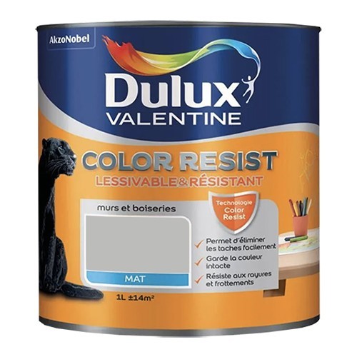Dulux Valentine Peinture acrylique Color Resist Gris ciment Mat