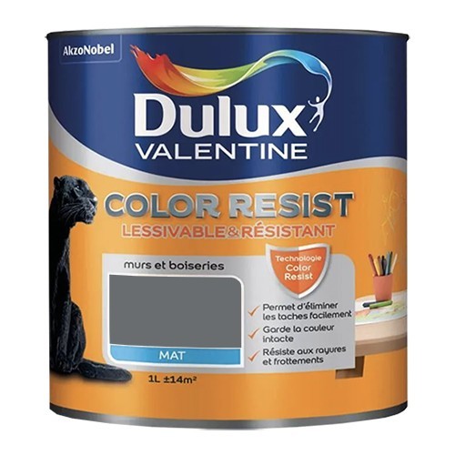 Dulux Valentine Peinture acrylique Color Resist Charbon Mat