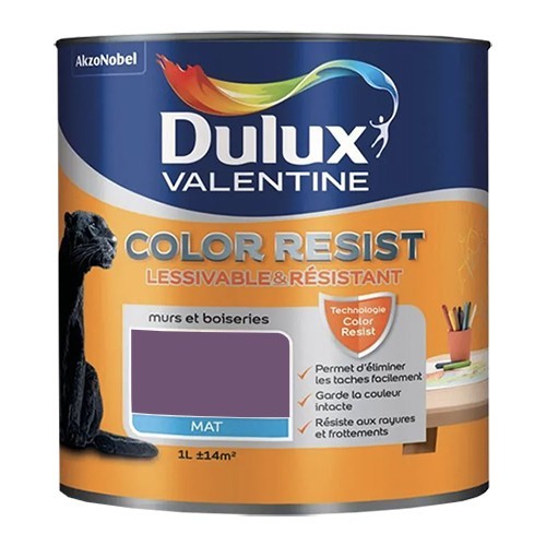 Dulux Valentine Peinture acrylique Color Resist Améthyste Mat