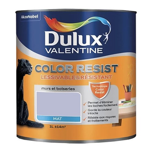 Dulux Valentine Peinture acrylique Color Resist Violet minéral Mat