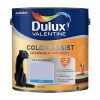 Dulux Valentine Peinture acrylique Color Resist Violet minéral Mat
