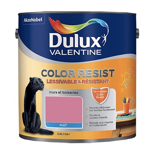 Dulux Valentine Peinture acrylique Color Resist Ultra rose Mat