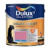 Dulux Valentine Peinture acrylique Color Resist Ultra rose Mat