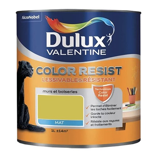 Dulux Valentine Peinture acrylique Color Resist Topaze vert Mat